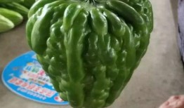 瓜网的最新爆料有哪些,揭秘娱乐圈惊天大事件！